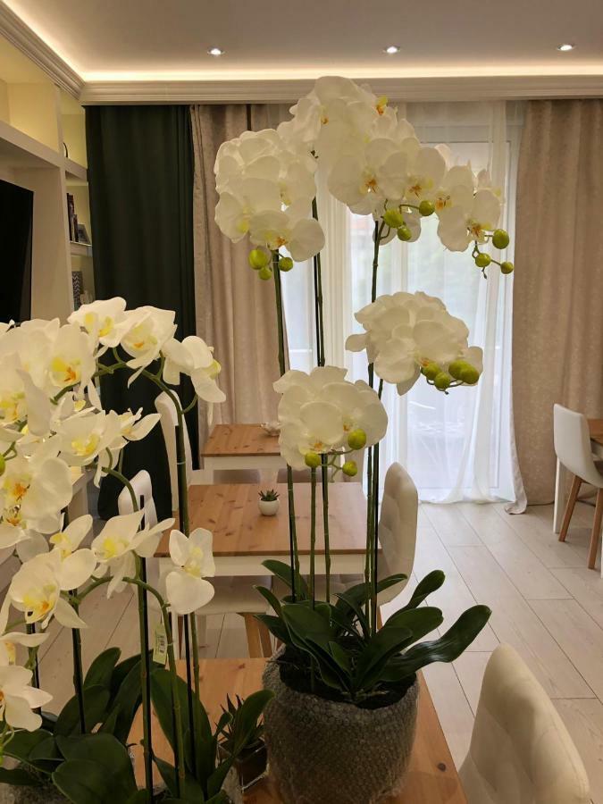 Boutique Hotel Bacvice Σπλιτ Εξωτερικό φωτογραφία